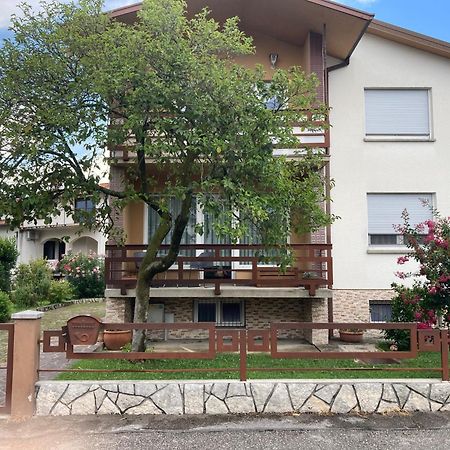 7 Flower Street Apartment Sempeter pri Gorici Exterior foto