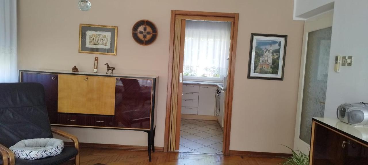 7 Flower Street Apartment Sempeter pri Gorici Exterior foto